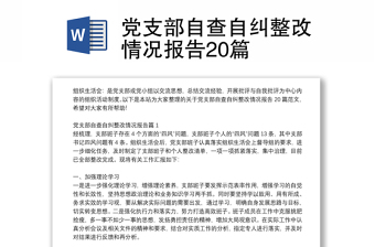 2025最强党支部自查整改报告