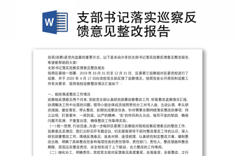 支部书记落实巡察反馈意见整改报告