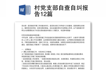2025党支部自查自检方法有哪些