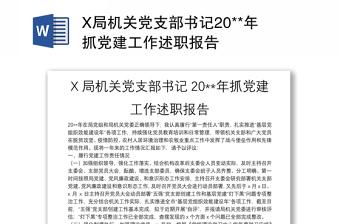 X局机关党支部书记20**年抓党建工作述职报告