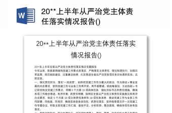 20**上半年从严治党主体责任落实情况报告()