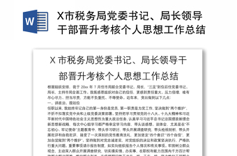 X市税务局党委书记、局长领导干部晋升考核个人思想工作总结