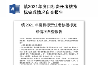 2025灯塔党建自查情况总结