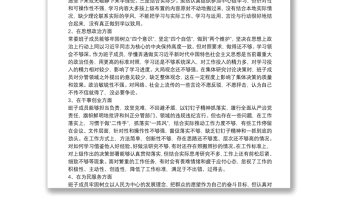 主题教育检视问题清单（领导班子及个人存在问题与整改计划）