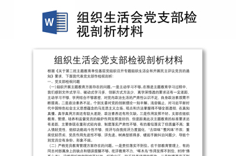 2025对党支部问题的剖析材料
