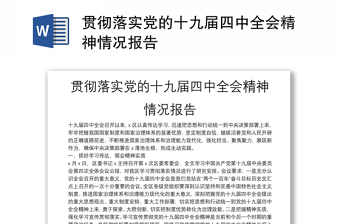 贯彻落实党的十九届四中全会精神情况报告