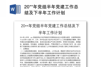 20**年党组半年党建工作总结及下半年工作计划