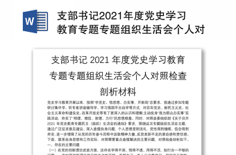 2025银行支部书记剖析材料ppt