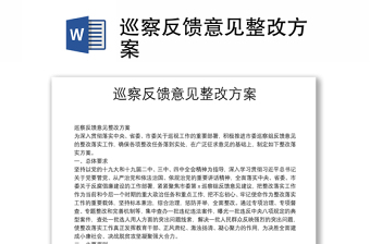 巡察反馈意见整改方案