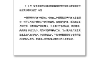 年粮食购销系统机动式巡察反馈意见整改专题民主生活会发言提纲