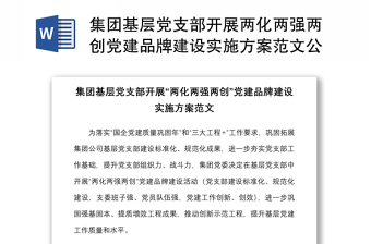 2025法院立案庭一支部一品牌创建方案ppt