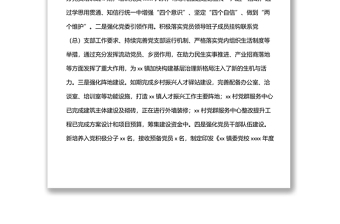 年上半年工作总结和下半年工作计划（镇乡）