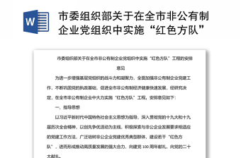 市委组织部关于在全市非公有制企业党组织中实施“红色方队”工程的安排意见