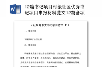 2025书记项目汇报ppt