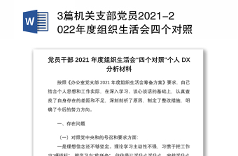 2025党支部年度报告PPT