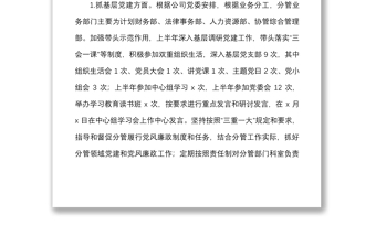 国企领导上半年履行党建工作一岗双责情况报告范文集团公司国有企业个人工作汇报总结