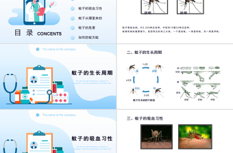 预防登革热防蚊灭蚊主题班会PPT创意清新医疗急救常识通用PPT模板