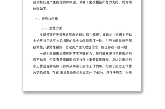 党支部班子“迎盛会、铸忠诚、强担当、创业绩”主题教育专题组织生活会对照检查