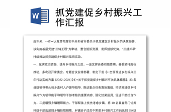 2025关于抓党建促乡村振兴的若干意见11中类型村ppt