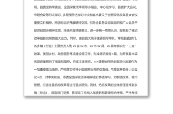 全面深化改革领导小组上半年工作总结汇报