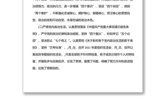 某局党委全面从严治党工作总结落实情况报告材料汇总