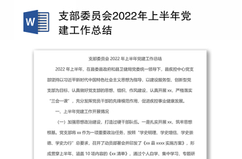 2025路政党务工作半年总结