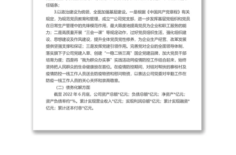 集团公司第二季度工作开展情况总结报告