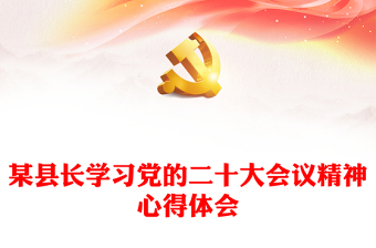 某县长学习党的二十大会议精神心得体会