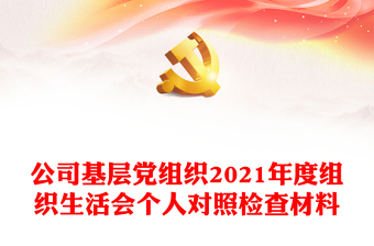 2025通信行业组织生活会个人对照检查材料ppt