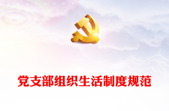 2025企业党支部三大生活制度