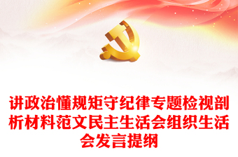 讲政治懂规矩守纪律专题检视剖析材料范文民主生活会组织生活会发言提纲