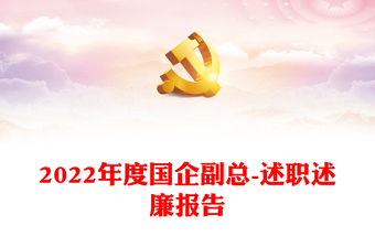 2025党务副职述职