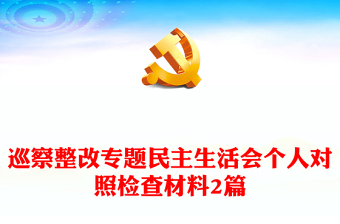 2025无妄评妄议党的路线方针政策对照检查ppt