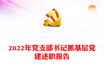 2022年党支部书记抓基层党建述职报告