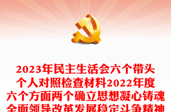 2025年党民主生活会材料