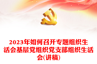 2023年如何召开专题组织生活会基层党组织党支部组织生活会(讲稿)