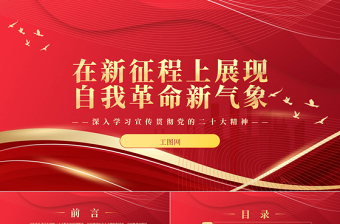 2023在新征程上展现自我革命新气象PPT优质党政风深入学习宣传贯彻党的二十大精神专题党课课件