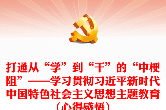 打通从“学”到“干”的“中梗阻”——学习贯彻习近平新时代中国特色社会主义思想主题教育（心得感悟）