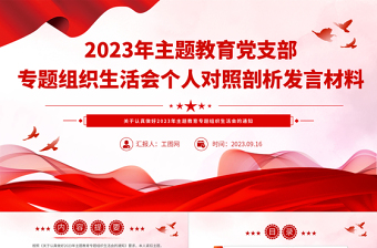 2025团小组组织生活会活动ppt