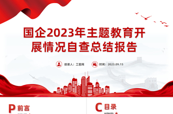 2025党支部年度总结报告ppt