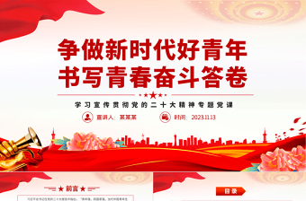 2025青年逢盛世奋斗正当时ppt
