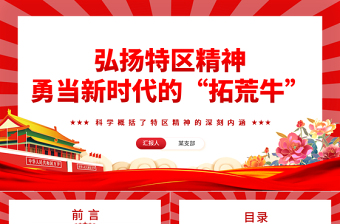 2025微党课特区精神ppt