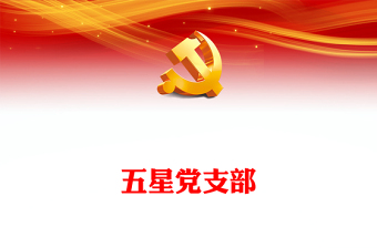 2025我和我的支部PPT