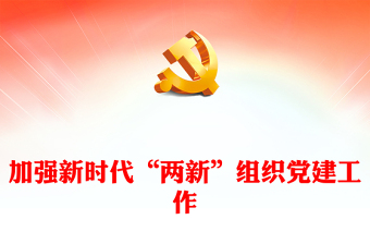 2025党组织工作ppt下载