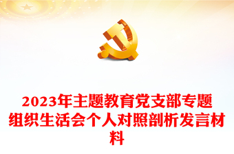 2023年主题教育党支部专题组织生活会个人对照剖析发言材料PPT(讲稿)