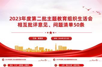 2024组织生活会对驾驶员的批评意见服务意识ppt