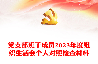 组织生活会个人对照检查材料PPT优质简约党支部班子成员发言材料(讲稿)