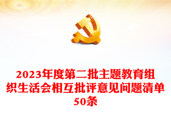 组织生活会相互批评意见问题清单50条PPT党政风实用第二批主题教育生活会模板(讲稿)