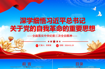 2024新疆维吾尔自治区党委十届四次全会精神ppt