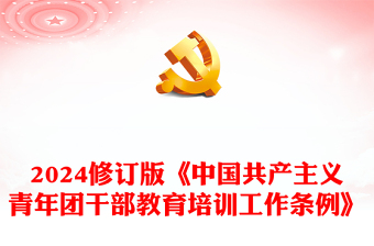 2025对支部青年委员提意见建议ppt